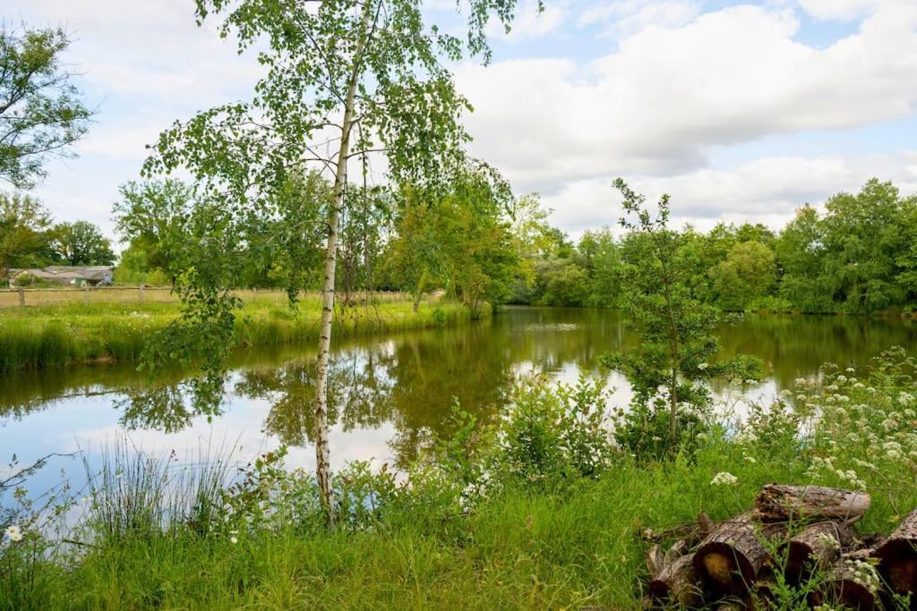 SevremoineL'Evasion En Pierre Piscine Et Etang Prive别墅 外观 照片