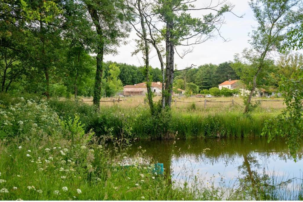 SevremoineL'Evasion En Pierre Piscine Et Etang Prive别墅 外观 照片